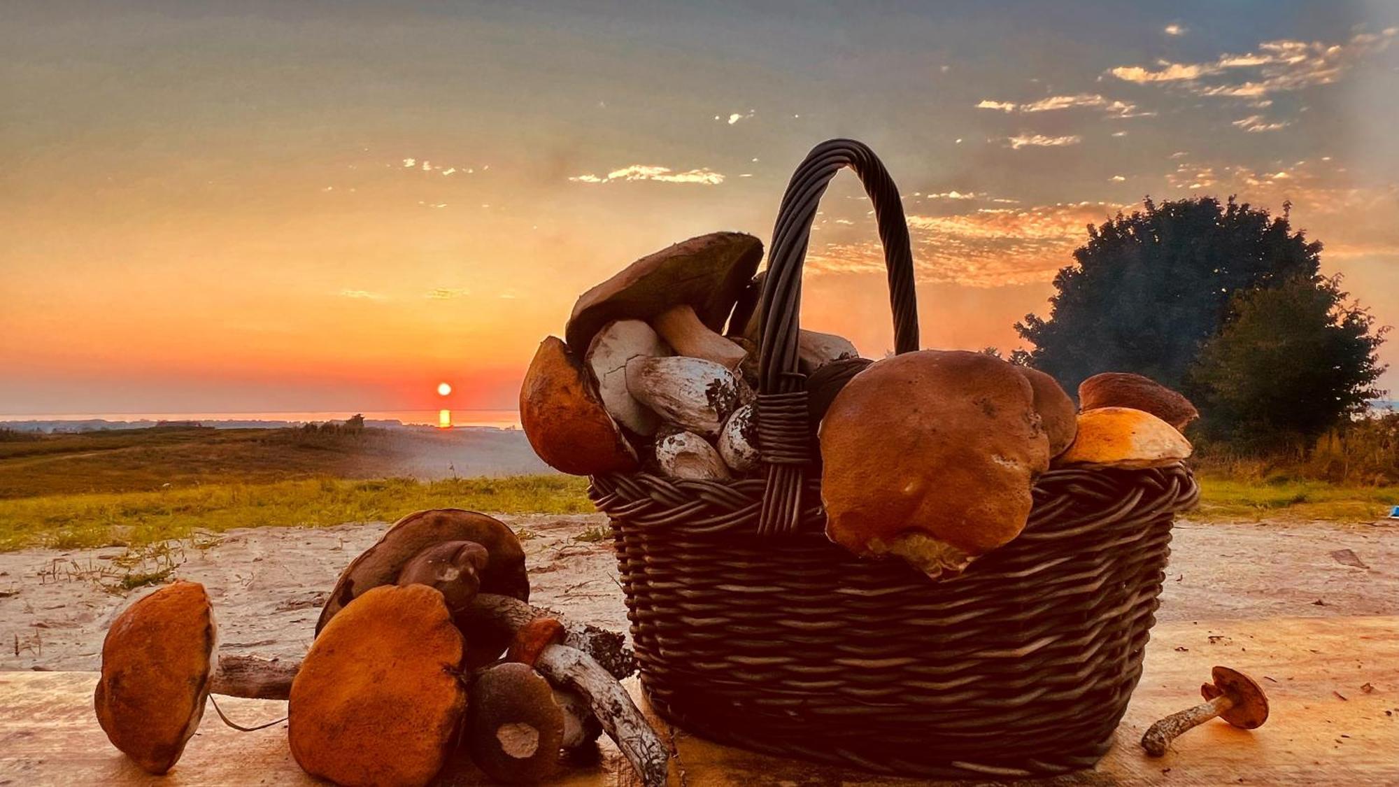 Osada Nad Zalewem Villa Tolkmicko Dış mekan fotoğraf